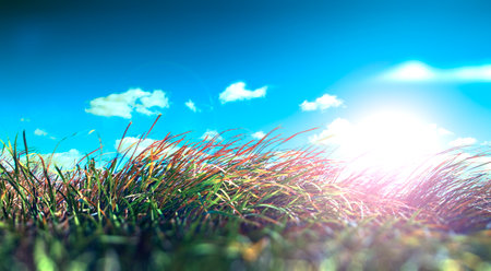 Green grass and sunrise sky scenery background.Sunlights,season concept and countryside.の写真素材