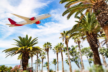 Airplane flying over amazing ocean scenery with tropical island. Beach travel destinations.の写真素材