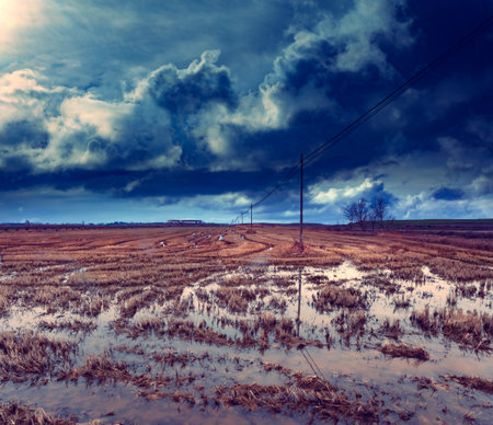 Concept of climate change and ecological disasters.の写真素材