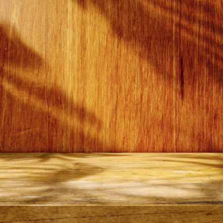 Empty floor and wall background illuminated by sunlight and plant shadows.3d illustration.の写真素材