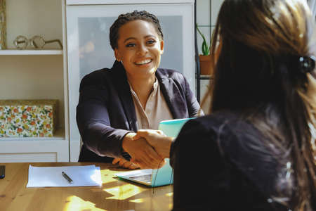 smiling Young adult black executive businesswoman handshake with client in office