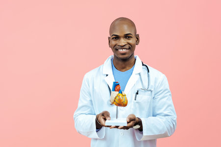 Doctor smiling holding heart model wearing lab coatの写真素材