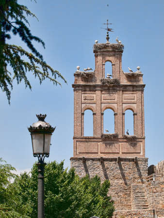 Avila city wall detail with storks and nestsの写真素材