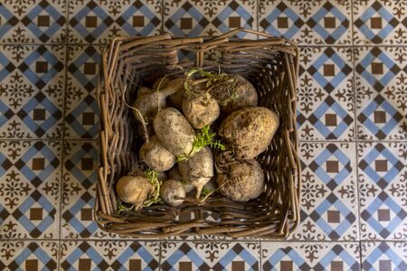 basket celery turnips on rustic soil in organic food storeの写真素材