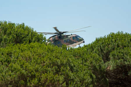 helicopter hidden in the treesのeditorial素材