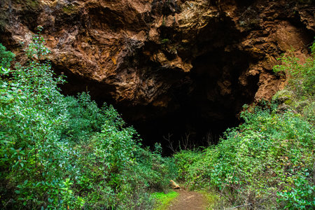 Natural park of eroded stone and red sand forest, with abandoned iron mine. Iron hillの写真素材