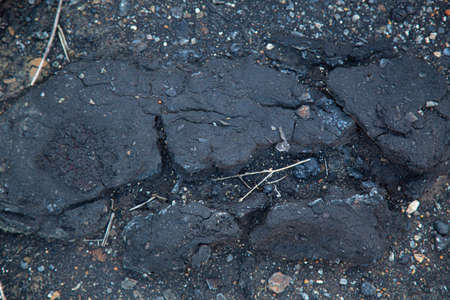 Dirt polluted by waste texture