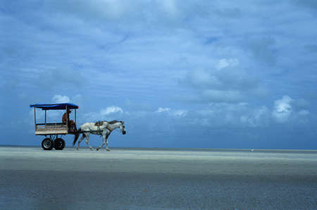   Cart on the beach.ALGODOAL ISLAND (Amazon). BRAZILのeditorial素材