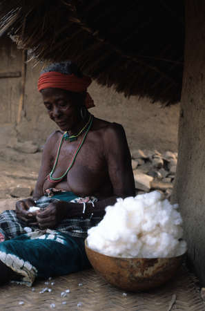 SENEGAL. Tambacounda Region  ( Bassari Country )  BEDIK   " Village of Iwol " ; Old  women cleaning cotton .のeditorial素材