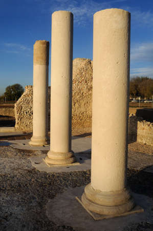 Columns belonging to the Basilica of the Roman City of Complutum  ALCALA DE HENARES Madrid  SPAIN