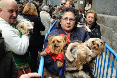 Madrid , SPAIN - 17 JANUARY ,2011. - " SAN ANTON Church "  Festivity of St. Anton ( Animals Patron ) on January 17  .のeditorial素材