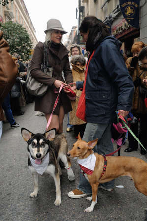 Madrid , SPAIN - 17 JANUARY ,2011. - " SAN ANTON Church "  Festivity of St. Anton ( Animals Patron ) on January 17  .のeditorial素材