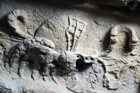   " Grutesco "    Trophy Helmet  Armor -  High- Relief . Renaissance (  Plateresque ) . Belonging to the stringer of the balustrade " Staircase of Honour Covarrubias -  Fonseca Courtyard. ARCHBISHOPS PALACE  "  ANTIQUARIUM - Wall of  ALCALA DE HENARES ( 1のeditorial素材