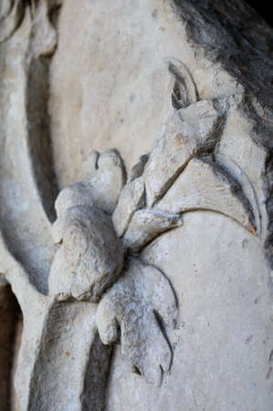  Fonseca shield of the Lodge  . Renaissance (  Plateresque )  " Weapons Court - ARCHBISHOPS PALACE  "  belonging to the ANTIQUARIUM - Wall of  ALCALA DE HENARES ( 13 th ). Community of Madrid .SPAIN のeditorial素材