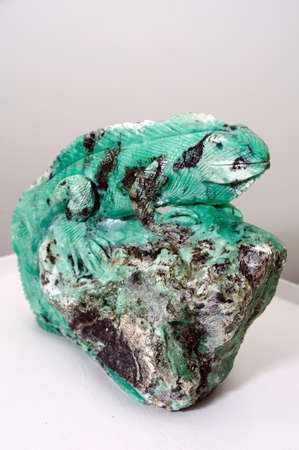 Iguana " Emerald Center " in  BOGOTA Department of Cundimarca COLOMBIAのeditorial素材