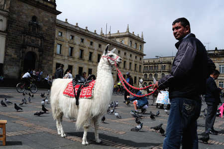   " Plaza Simon Bolivar " in  BOGOTA Department of Cundimarca COLOMBIAのeditorial素材
