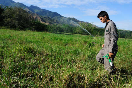 Sprinkler irrigation in RIVERA . Department of Huila. COLOMBIAのeditorial素材