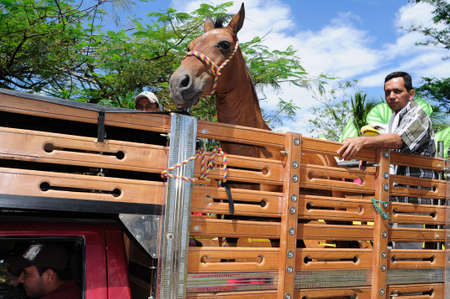 Sanjuanero Huilense  Festival  in  RIVERA . Department of Huila. COLOMBIAのeditorial素材