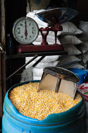 Corn. Plaza Civica - Los Libertadores  in  NEIVA. Department of Huila. COLOMBIAのeditorial素材