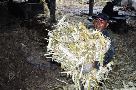 Panela ( sugarcane ) in ISNOS ( San Agustin ). Department of Huila. COLOMBIAのeditorial素材