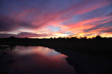 Night Purple reflex on the lagoonの写真素材