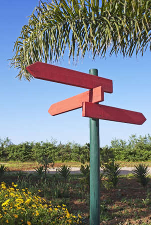 Pole of three directional signs in redwood under a palm leaf and blue sky as backgroundの写真素材