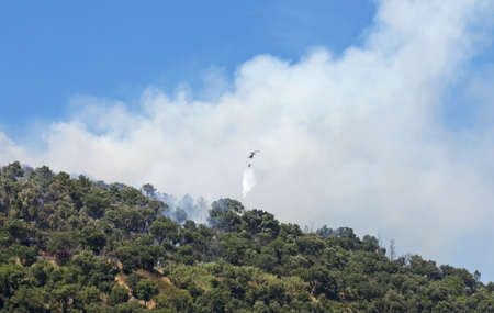 Helicopter working in extinguishing forest fire, using water, on the mountain 