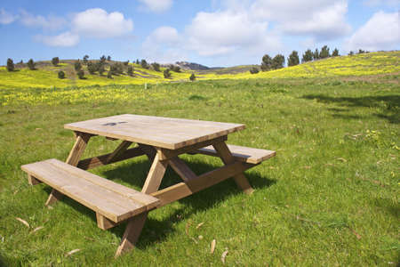 Garden wooden bench isolated in the green meadowsの写真素材