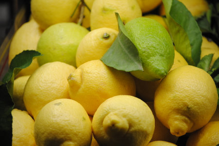 Lemons on a market stall in Barcelona, Catalonia, Spainの写真素材