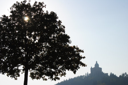 Silhouette of a tree and a church on a hillsideの写真素材