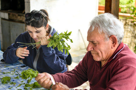 Grandfather with his granddaughter cutting asparagus plants together on terraceの写真素材
