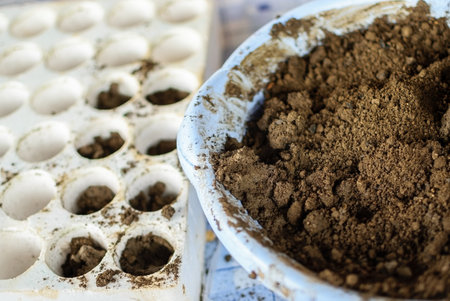 Hands holding and moving soil. Earth day conceptの写真素材