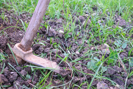 Image of hoe in field to cultivate with grass and fertile soil.