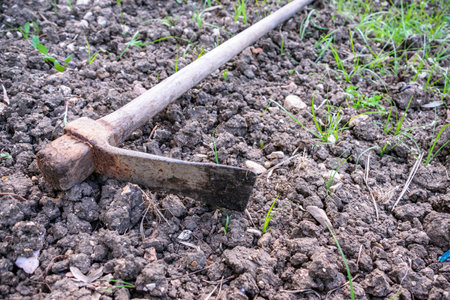Image of hoe in field to cultivate with grass and fertile soil.の写真素材