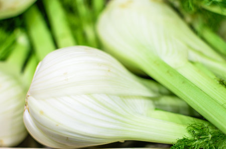 Image of fennel stocked in market for consumption.の写真素材