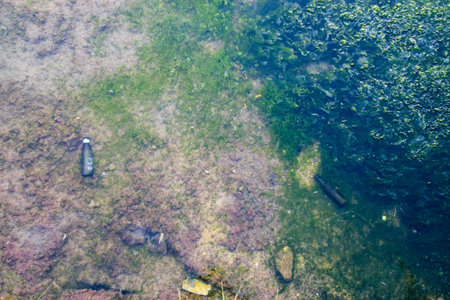 River mouth contaminated by human generated garbage.の写真素材