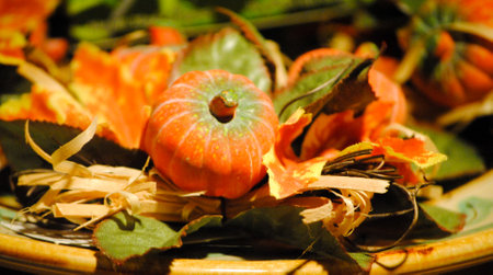Small decorative pumpkin with fallen leaves reflecting arrival of autumnの写真素材