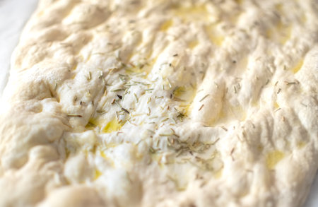 Typical Italian Focaccia Bread dough with oil and rosemary without bakingの写真素材