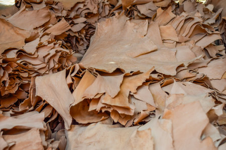 Natural leather in crafts stacked in a craft shop in the souk at Marrakechの写真素材
