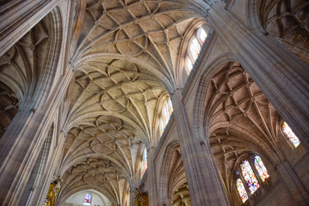 Late Gothic ribbed vaults and interlocking ribs in Gothic Cathedral of Segoviaの写真素材