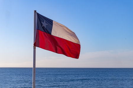 Chilean flagg with pacific ocean at behindの写真素材