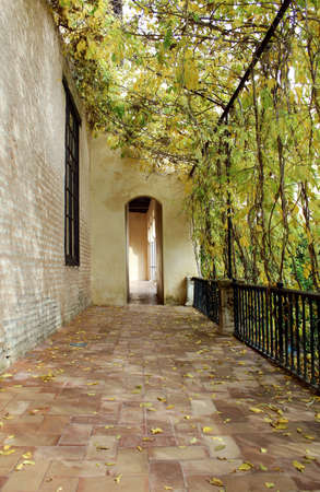Courtyard at the Real Alcazar Moorish Palace in Seville, Spain のeditorial素材