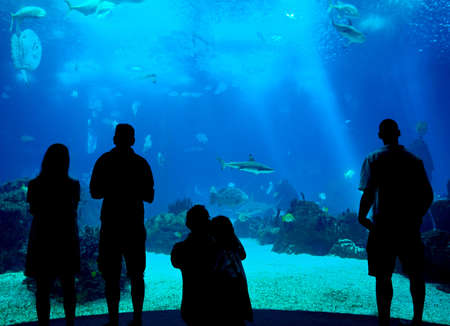People silhouettes in aquarium background, Lisbon oceanarium, Portugalのeditorial素材