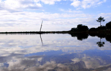  Lake ecosystem protected park scenic landscape.  Ria, Formosa, Algarve
