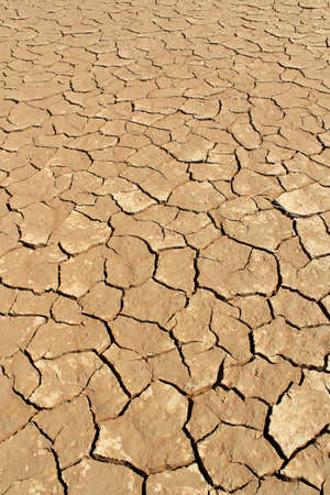Soil detail of a dry pan, in the Sossusvlei sand dunes, Namib desert. Namibiaの写真素材