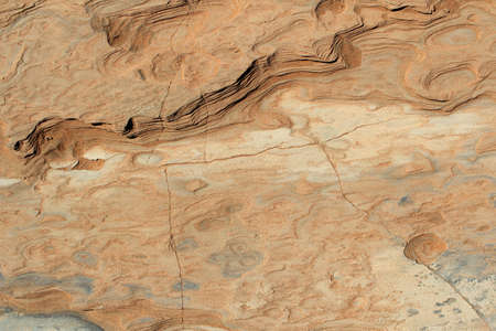 Soil detail, in the Sossusvlei, Namib desert  Namibia