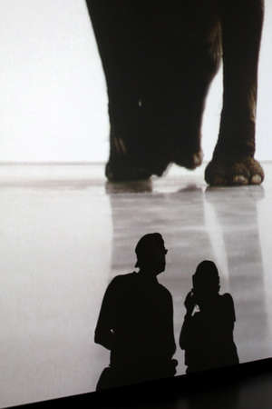 NEW YORK CITY - SEPTEMBER 04  Museum of Modern Art Visitors on SEPTEMBER 04, 2013 in New York City, NY  The building is design by famous Japanese architect Yoshio Taniguchi and MoMA collection has grown to include over 150,000 art pieces and design objectのeditorial素材