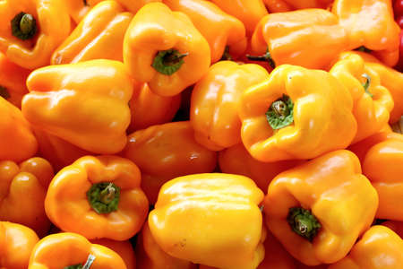 Fresh organic bell pepper background, photo taken at local farmers market, in New York Cityの写真素材