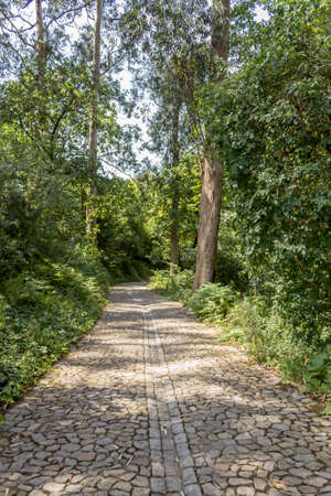 PORTO, PORTUGAL - JULY 05, 2015: Serralves gardens, a green park that extends over 18 hectares involving the Museum of Contemporary Art Serralves Foundation. Throughout the park works of contemporary art are exhibited alongside the typical flora of the noのeditorial素材