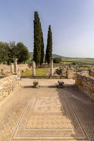 Dolphin mosaics in archaeological Site of Volubilis, ancient Roman empire city, Unesco World Heritage Site, located in Morocco near Meknesのeditorial素材